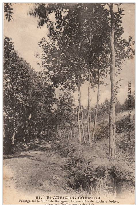 SAINT AUBIN DU CORMIER   LE PAYSAGE SUR LE SILLON  Vers SAINT CHRISTOPHE DES BOIS - Autres & Non Classés