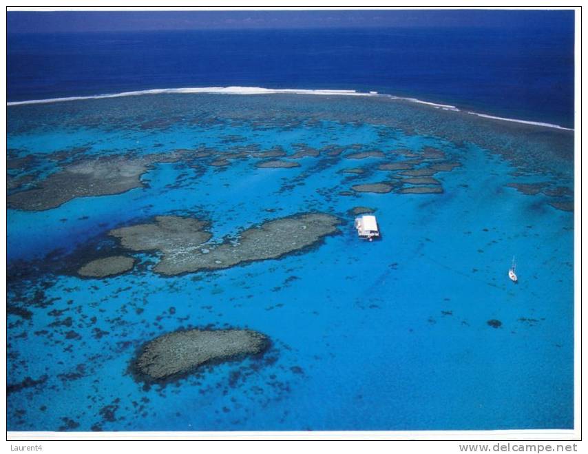 (500) New Caledonia - Sea Horse Ponton Recif Hannibal - Nouvelle-Calédonie