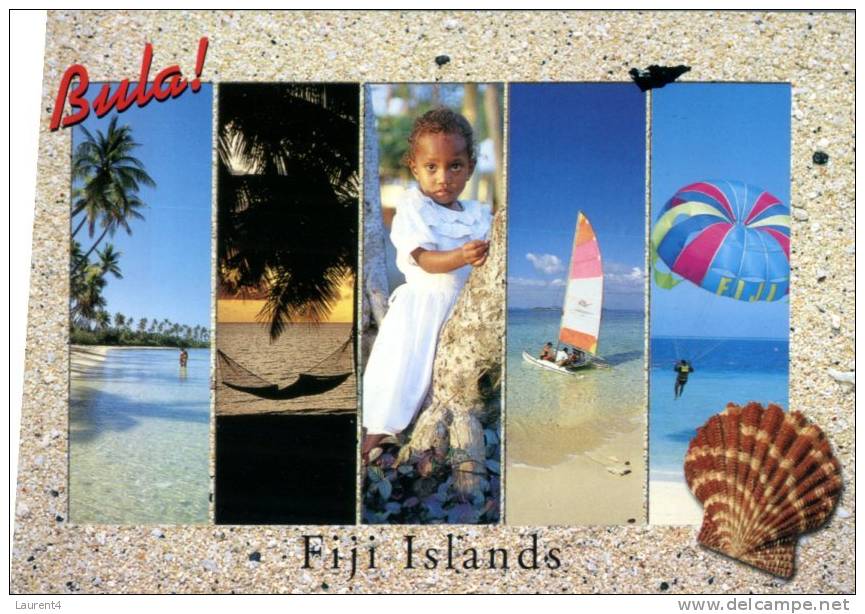 (500) Shell - Coquillage - Fiji Islands - Fiji