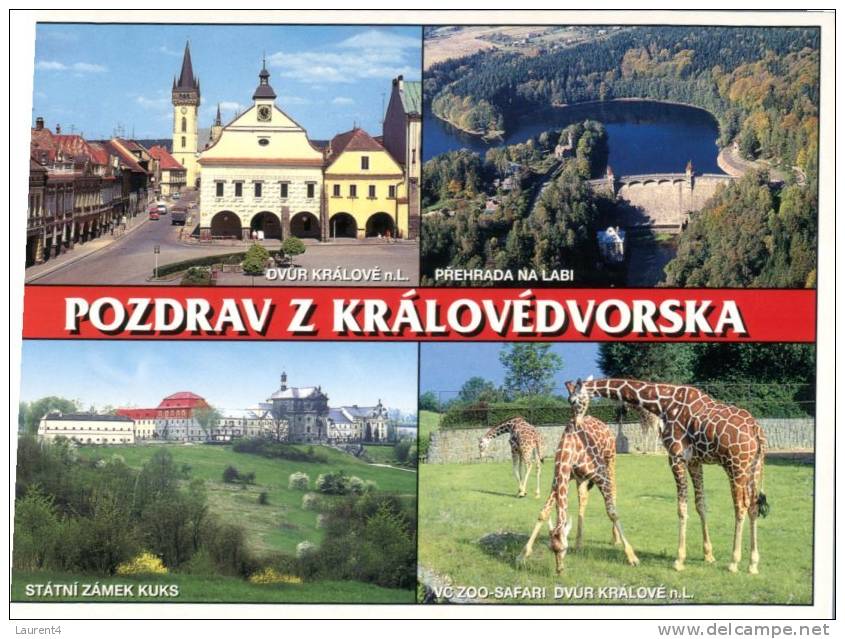 (150) Pozdrav Zoo - Giraffe - Girafes