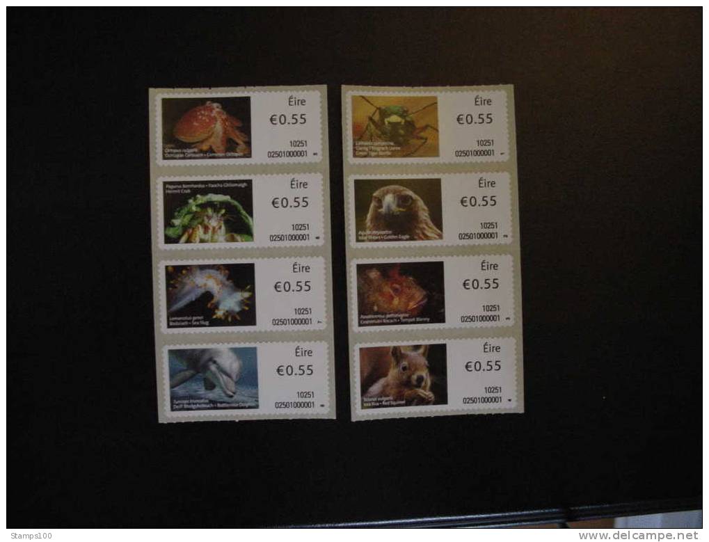 IRELAND 2010     LABELS    ANIMALS       MNH **   (010607-450) - Neufs