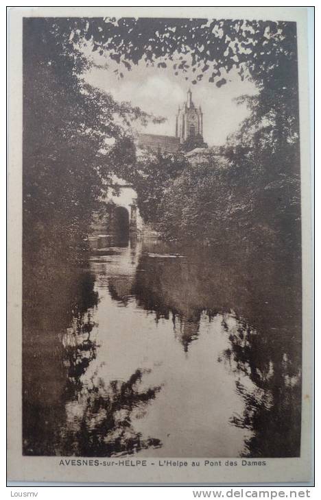 59 : Avesnes Sur Helpe : L´Helpe Au Pont Des Dames - Avesnes Sur Helpe