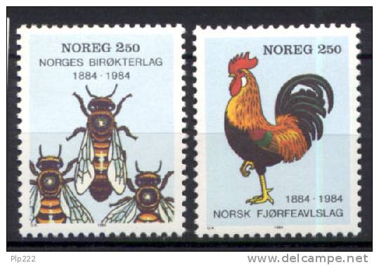 Norvegia 1984 Unif. 864/65 **/MNH VF - Ungebraucht