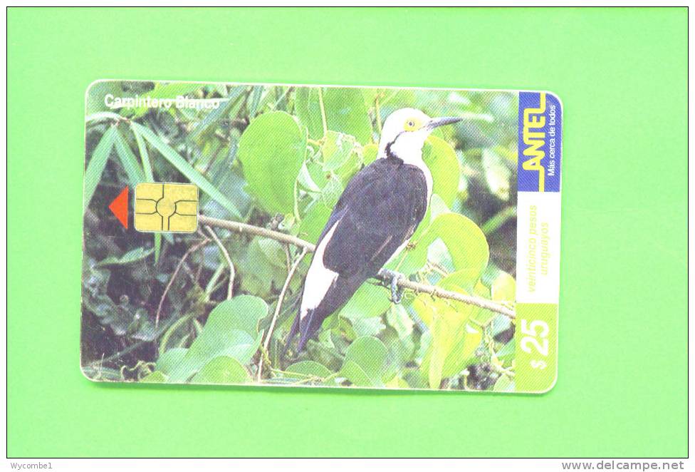 URUGUAY  -  Chip Phonecard As Scan - Sonstige - Afrika