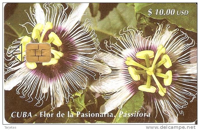 086 TARJETA DE CUBA DE LA FLOR DE LA PASIONARIA - Flores