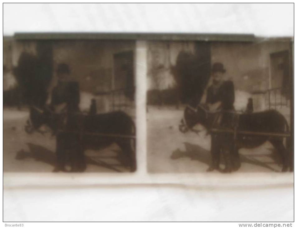 PLAQUE DE VERRES UN HOMME ET SON ANE - Stereoscopes - Side-by-side Viewers