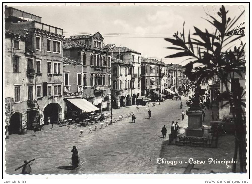 1656-CHIOGGIA(VENEZIA)-CORSO PRINCIPALE-ANIMATA-FG - Chioggia