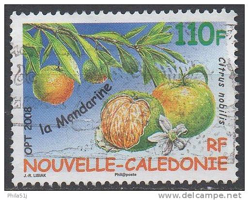 NOUVELLE-CALEDONIE  N°1043__OBL VOIR SCAN - Usados