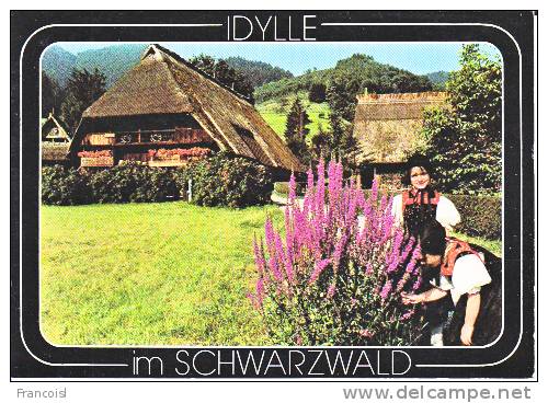 Idylle Im Schwarzwald. Jeunes Filles En Costume Et Bruyère. Maison Typique. Freilichtmuseum - Gutach (Schwarzwaldbahn)