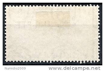 1949-52 TRIESTE A USATO POSTA AEREA 25 LIRE FILIGRANA LETTERA - RR10783 - Airmail