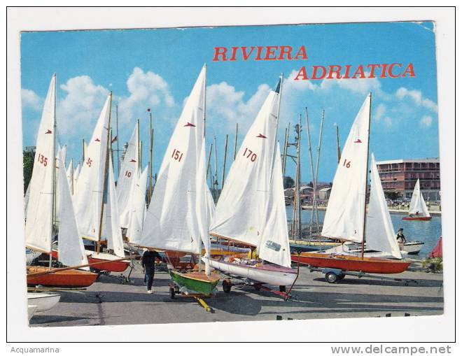 VELE Pronte Per La Regata - Riviera Adriatica - Cartolina FG C V 1975 - Altri & Non Classificati