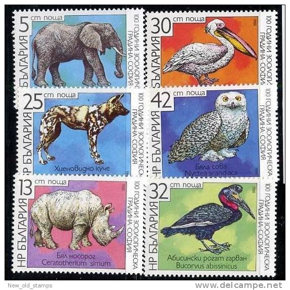 BULGARIA 1988 BIRDS & ANIMALS = ELEPHANT RHINO DOG HORNBILL PELICAN POLAR OWL NH - Rhinoceros