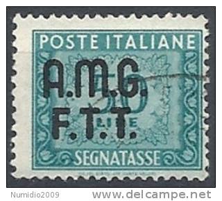 1947-49 TRIESTE A USATO SEGNATASSE 50 LIRE - RR10795 - Strafport