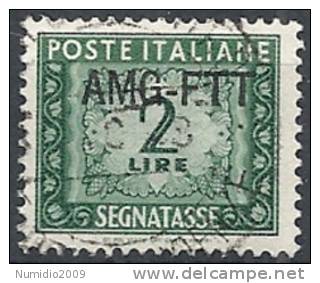 1949-54 TRIESTE A USATO SEGNATASSE 2 LIRE - RR10796 - Strafport