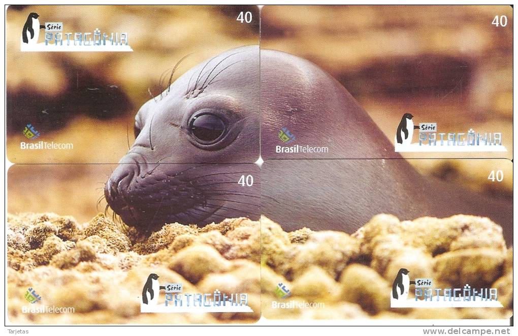 PUZZLE DE 4 TARJETAS DE BRASIL DE UNA FOCA (SEAL) - Puzzles