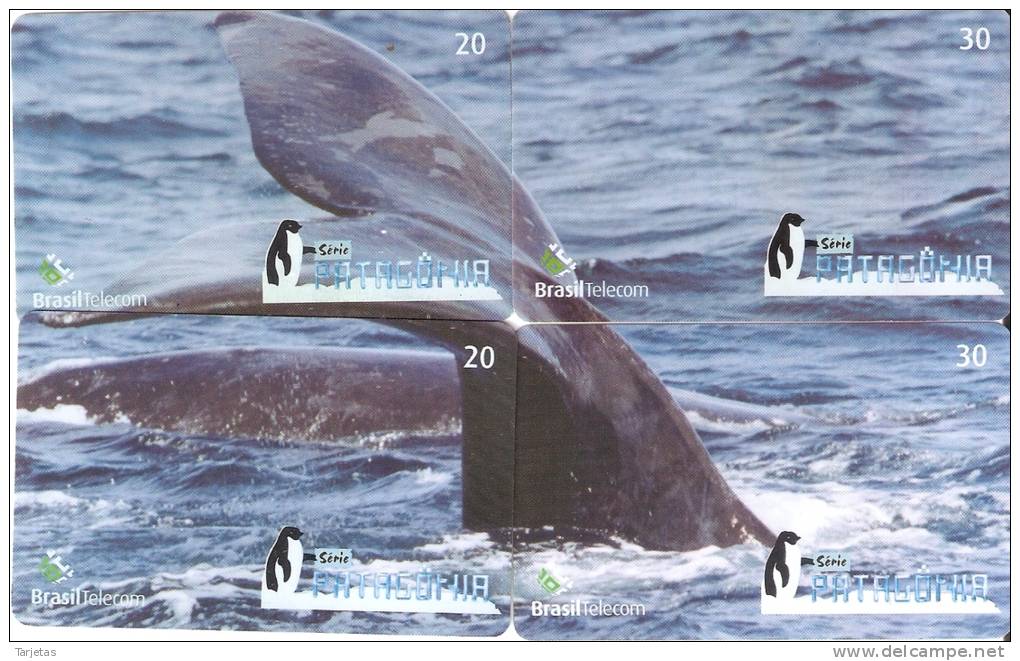 PUZZLE DE 4 TARJETAS DE BRASIL DE UNA BALLENA (WHALE) - Puzzles