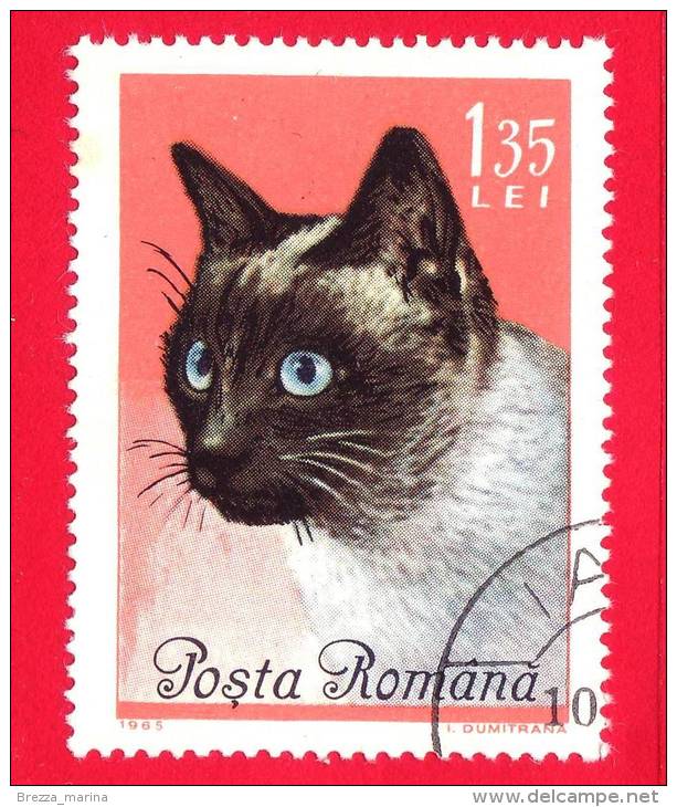 ROMANIA - ROMANA - Nuovo Obliterato - 1965 - Gatti - Chats - Siamese Cat - 1.35 Lei - Unused Stamps