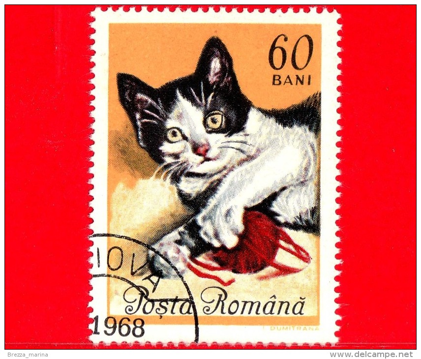 ROMANIA - ROMANA - Nuovo Obliterato - 1965 - Gatti - Chats - European Cat - 60 Bani - Unused Stamps