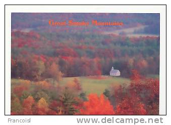 Etats-Unis. Tennessee. Great Smoky Mountains. Ours Au Verso - Smokey Mountains