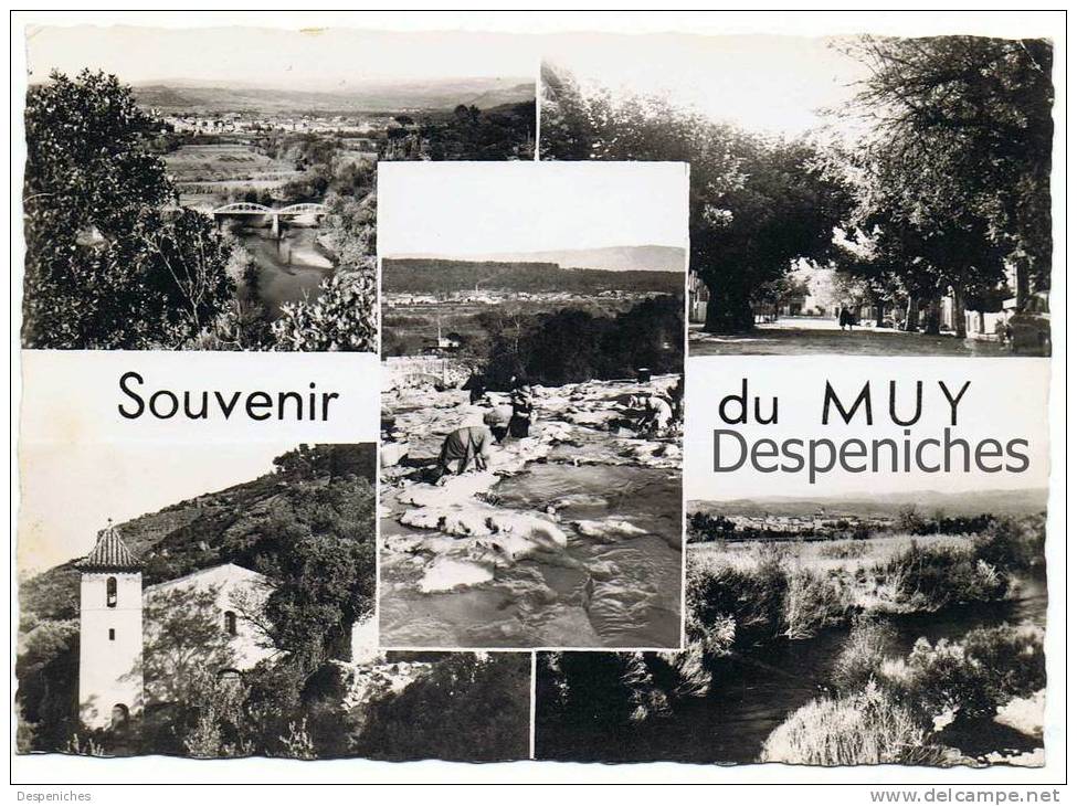 83490 Le Muy - Souveny Du Muy - Multi Vues 1964 - Le Muy