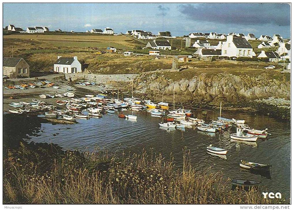 CPM 29 - La Baie D'Audierne De Plozévet à Plouhinec - Le Petit Port De Porz Poulhan - Plozevet