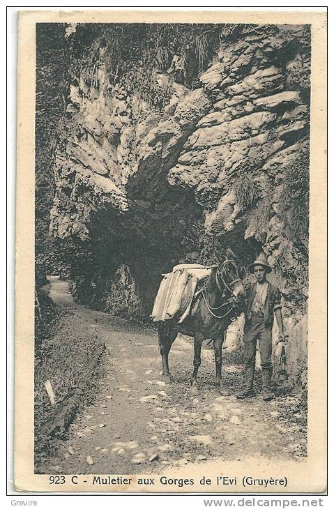 Muletier Aux Gorges De L'Evi - Transport De Fromages à Dos De Mulet / " Barlatè" - Elevage