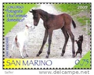 2009 SAN MARINO  FOTO ANIMALI  6 Valori ** MNH - Neufs