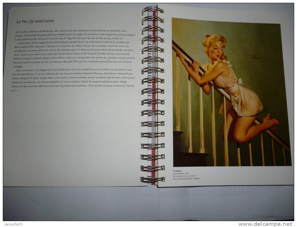 LIVRE AGENDA 1997 THE AMERICAN PIN UP NOMBREUX DESSINS PIN UP - Autres & Non Classés