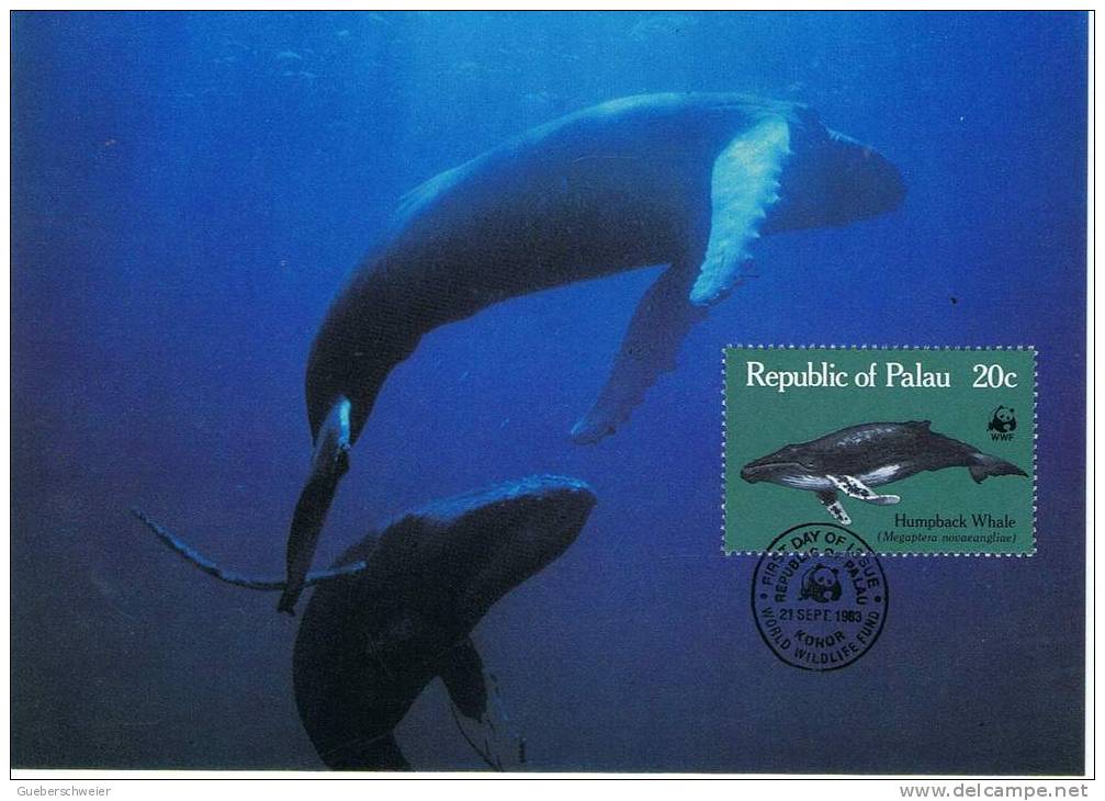 L-AM-5 - BALEINES - PALAU - Carte Maximum De 1986 - Wale