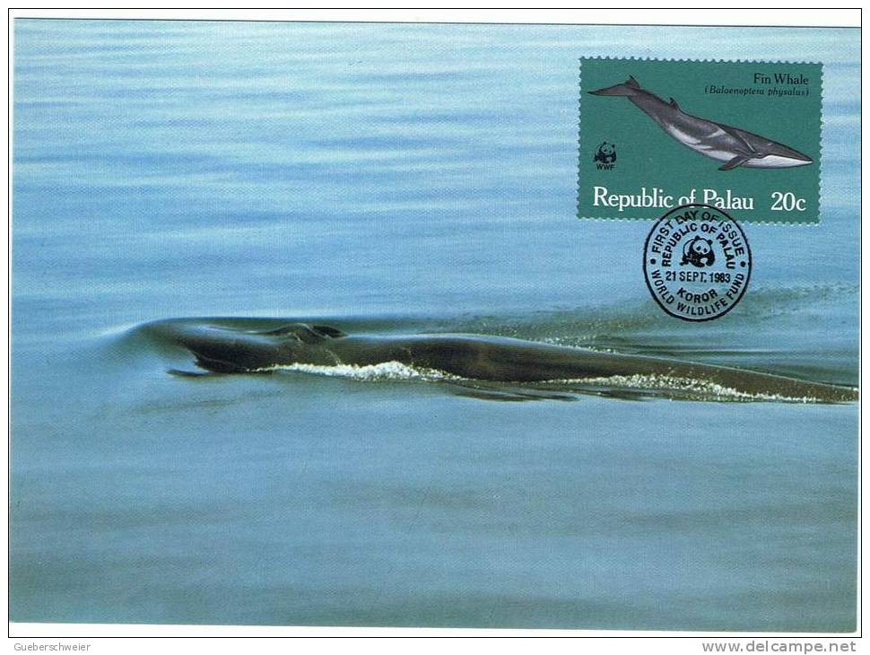 L-AM-6 - BALEINES - PALAU - Carte Maximum De 1983 - Wale