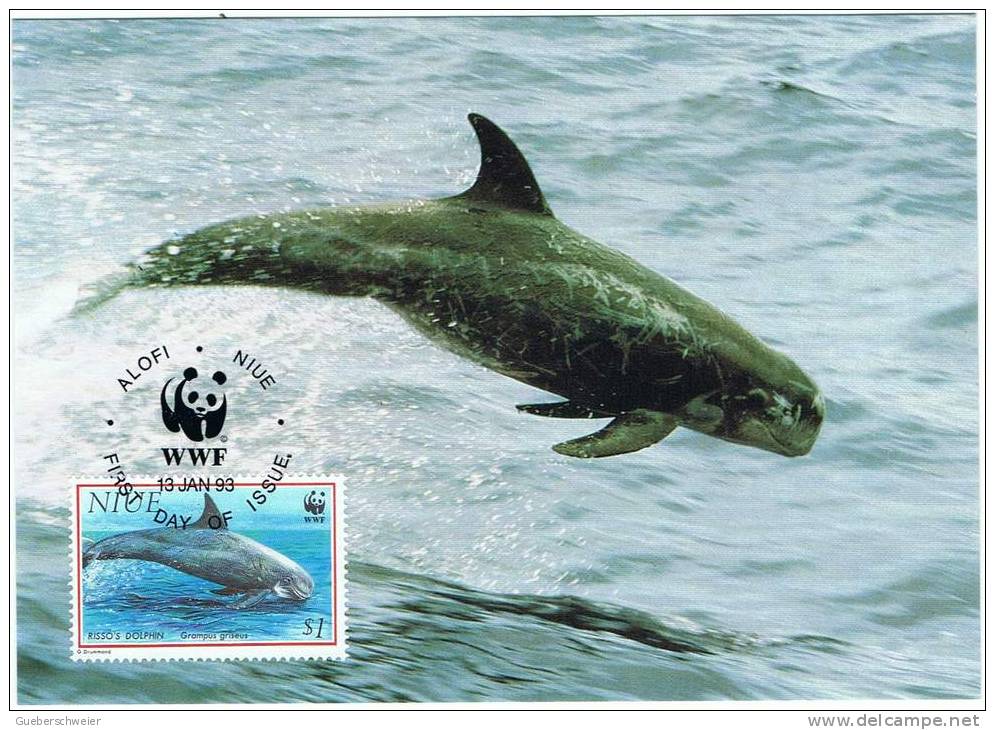 L-AM-9 - DAUPHINS - NIUE - Carte Maximum De 1993 - Dolfijnen