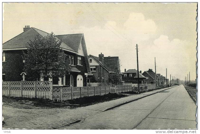 Bonheiden : Muizensteenweg - Bonheiden