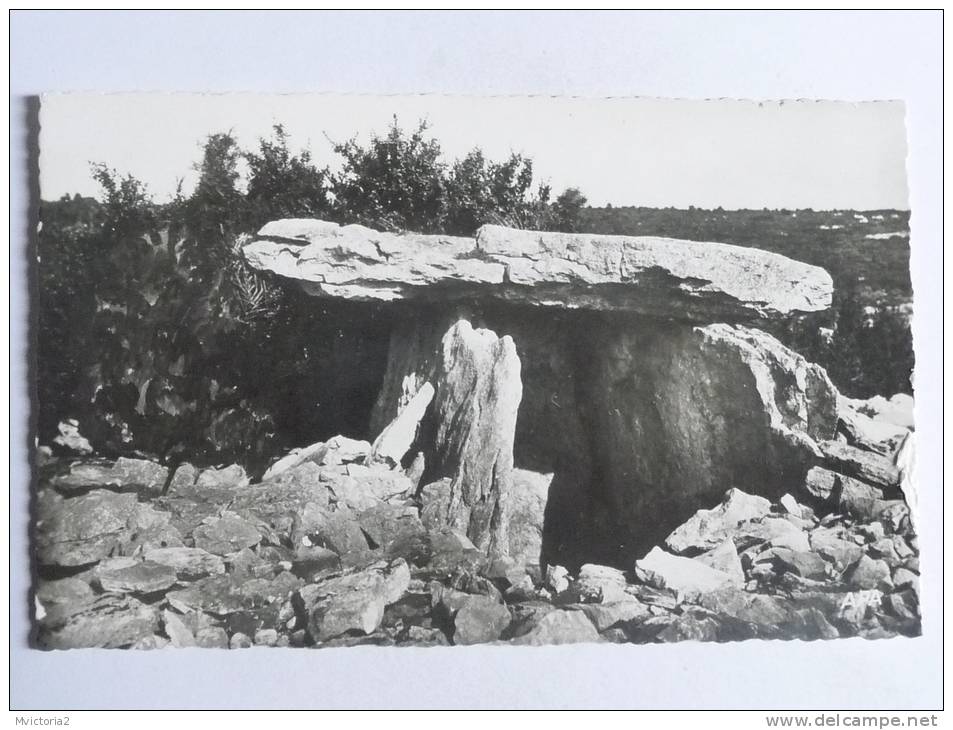 MINERVE - Les DOLMENS - Other & Unclassified