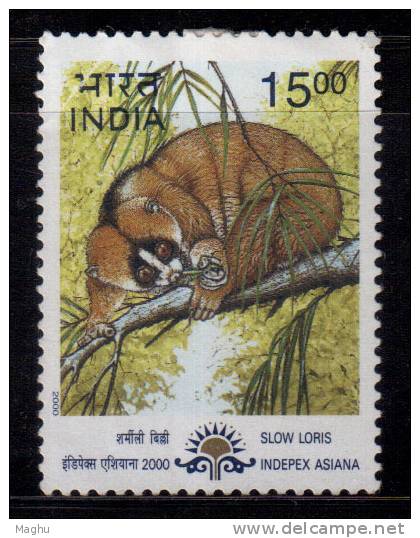 India MH 2000,  Indepex-Asiana, Natural Heritage Of Manipur &amp; Tripura,, Slow Loris, Animal. - Ungebraucht