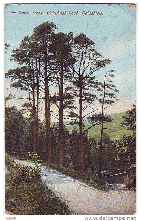 THE SEVEN TREES HOLLYBUSH ROAD. GALASHIELS. - Roxburghshire