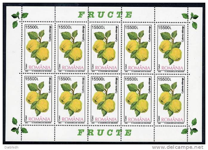 ROMANIA 2002 Fruits Sheetlets MNH / **.  Michel 5694-97 - Blocks & Sheetlets