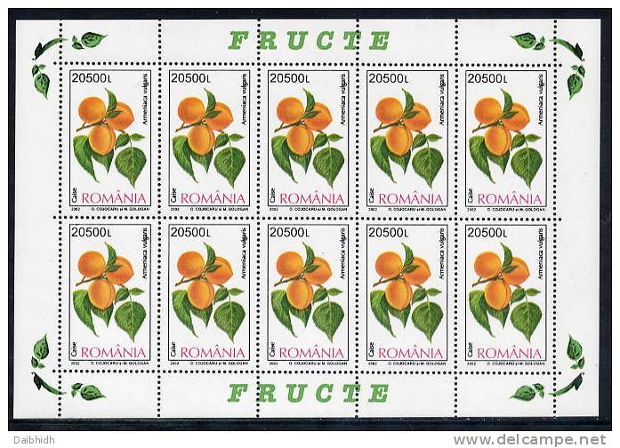 ROMANIA 2002 Fruits Sheetlets MNH / **.  Michel 5694-97 - Blocs-feuillets