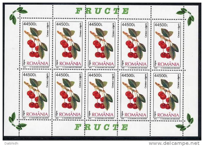 ROMANIA 2002 Fruits Sheetlets MNH / **.  Michel 5694-97 - Blocks & Sheetlets