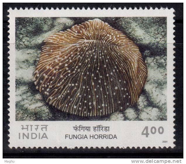 India MNH 2001, 4.00r Corals Of India, Mushroom Coral, Marine Life, - Unused Stamps