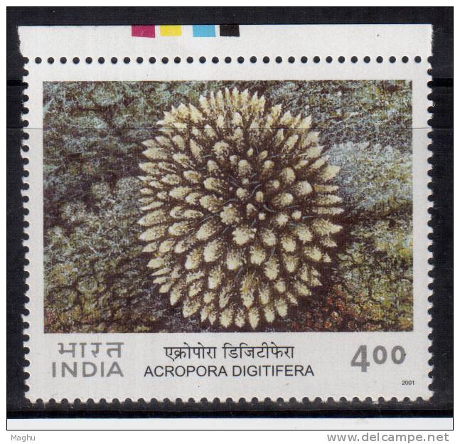 India MNH 2001, 4.00r Corals Of India, Digitate Coral, Marine Life, - Neufs