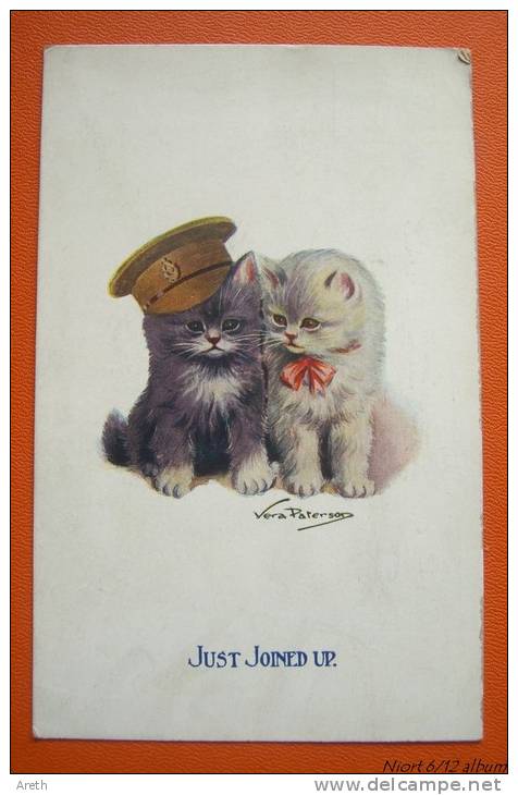 " Just Joined Up" - Chatons - Illustration Vera Paterson - Paterson