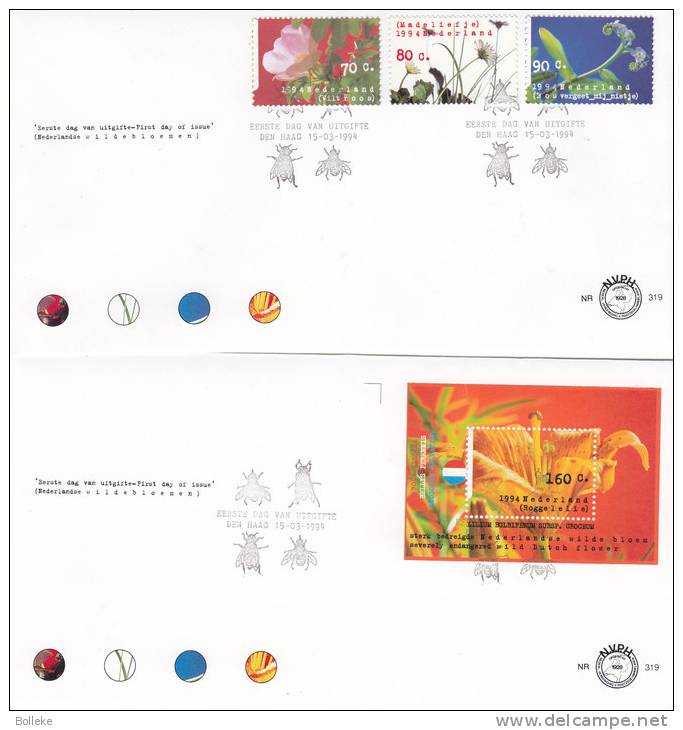 Insectes - Mouches -  Fleurs - Miosotis -¨Paquerettes -  Pays Bas - Lettre De 1994 - Covers & Documents