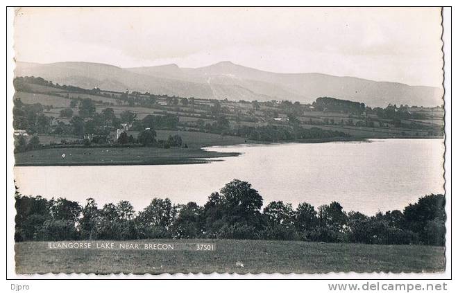 Brecon  Llangorse Lake Near Brecon  37501 - Breconshire