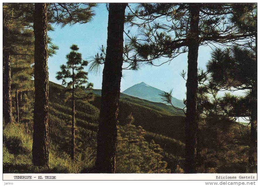 Espana, Islas Canarias, Tenerife, Vista Del Teide Al Atardecer ,   Circulante Si 1974 - Sonstige & Ohne Zuordnung