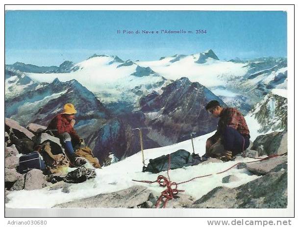 CARTOLINA DI IL PIAN DI NEVE E L ADAMELLO CON ALPINISTI  A RETRO TIMBRO CONCA PARADISO TONALE SCI ESTIVO INVERNALE - Brescia