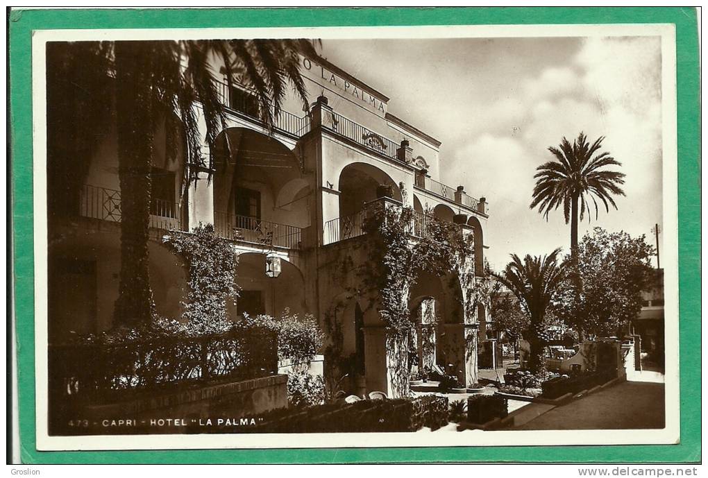 CAPRI  - HOTEL " LA PALMA  " 473 - Carpi