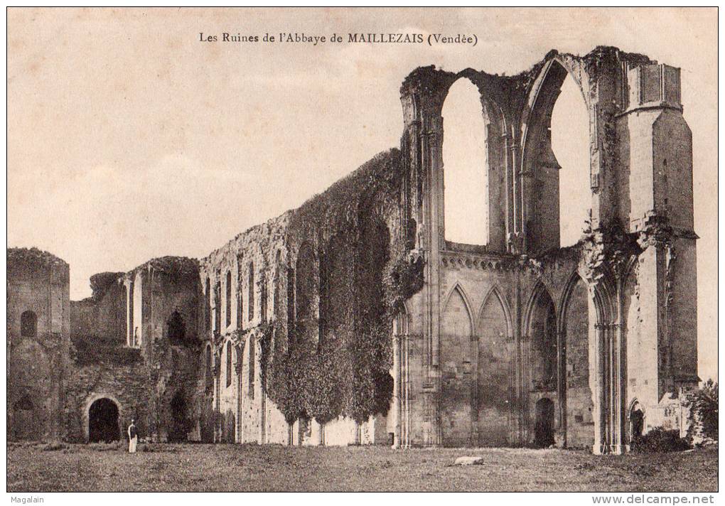 Maillezais : Les Ruines De L'abbaye - Maillezais