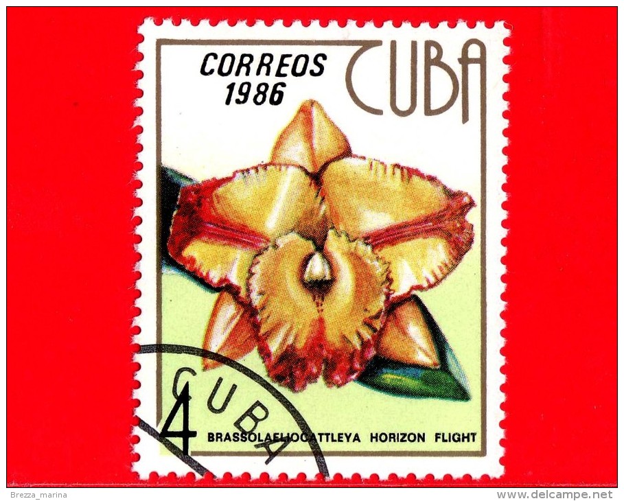 CUBA - 1986 - Nuovo - Fiori - Flowers - Fleurs - Brassolaeliocattleya Horizon Fligth - 4 - Neufs