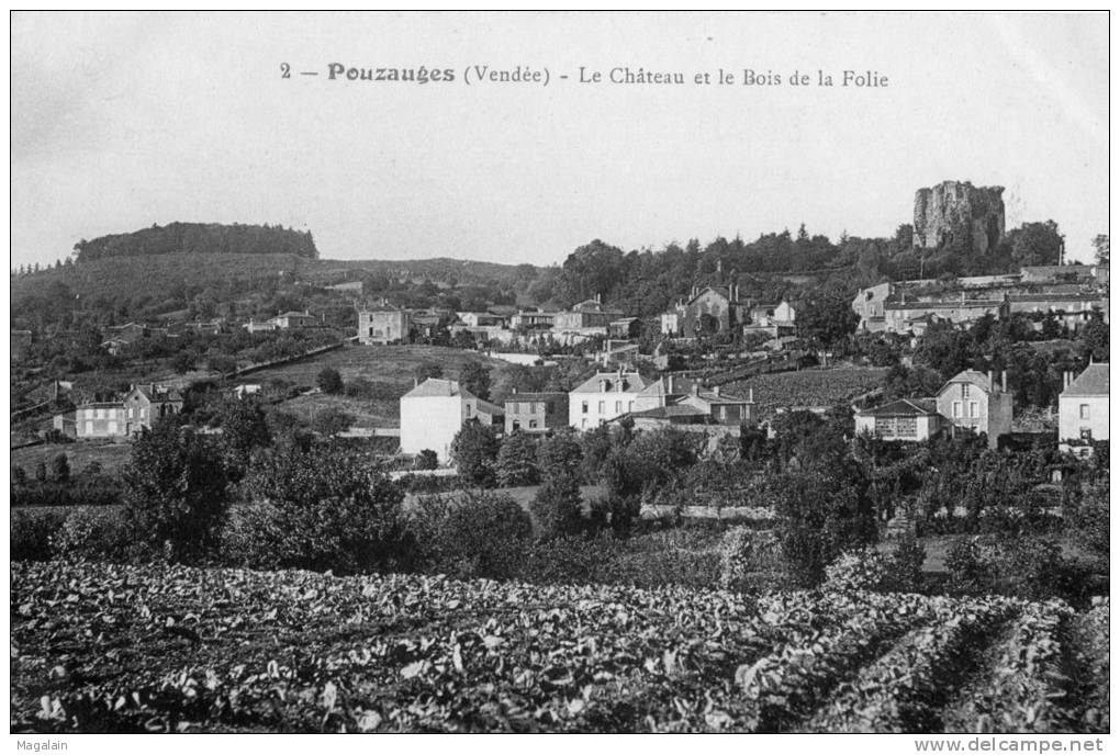 Pouzauges : Le Château Et Le Bois De La Folie - Pouzauges