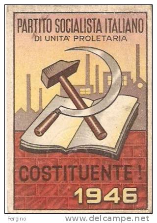 271/FG/12 - EXTRA - TESSERA PARTITO SOCIALISTA ITALIANO DI UNITA' PROLETARIA COSTITUENTE ANNO 1946 - Partidos Politicos & Elecciones